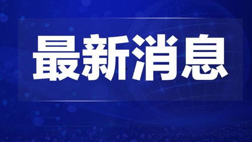 江门热点爆料新闻最新今天,江门突发!最新热点事件引发全城关注